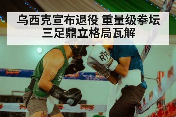 乌西克宣布退役 重量级拳坛三足鼎立格局瓦解 - ayx